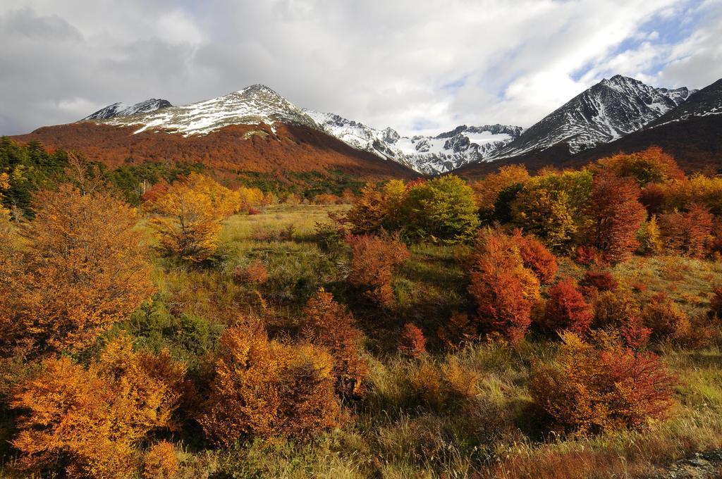 Cumbres Del Martial Hotel Ushuaia Buitenkant foto
